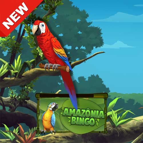 Banner-Amazonia-Bingo