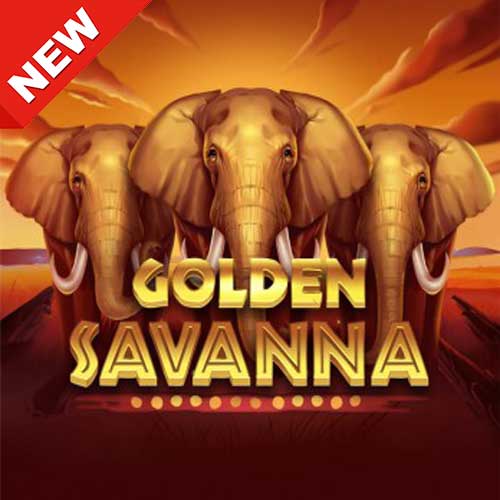 Banner-Golden-Savanna