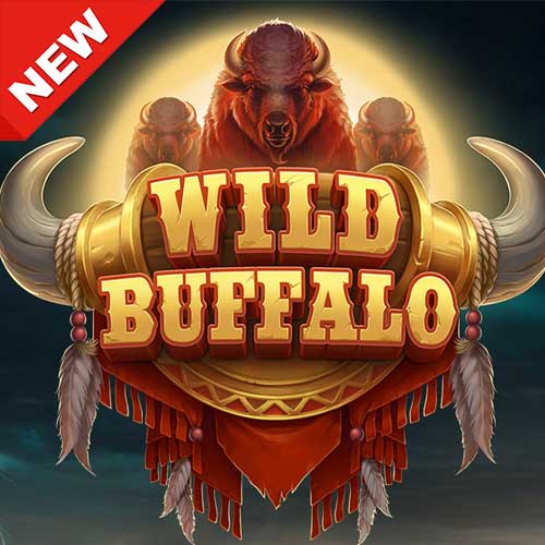 Banner-wild-buffalo