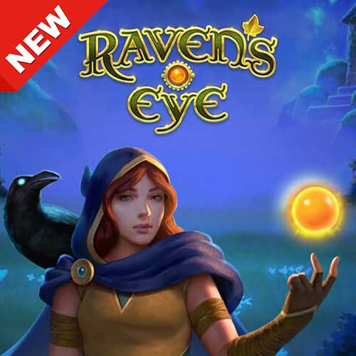 Banner Ravens Eye