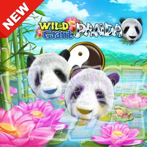 Banner Wild giant panda ค่ายเกม Joker gaming ทดลองเล่นสล็อตฟรี 2023