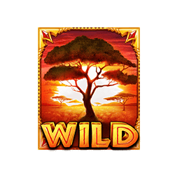 Wild The Ultimate 5 เกมสล็อตค่าย Pragmatic Play ทดลองเล่น