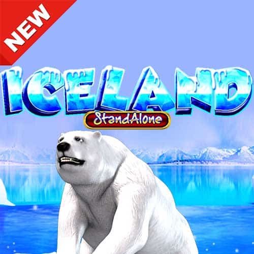 Banner Ice land