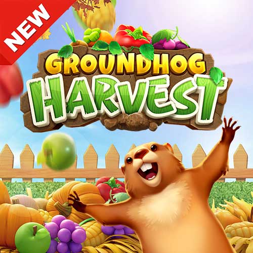 Banner Groundhog Harvest