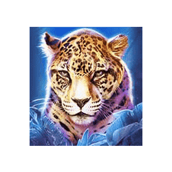 Top1 ทดลองเล่นสล็อต Big Cat Rescue Megaways ค่าย Red Tiger เกมใหม่มาแรง2023