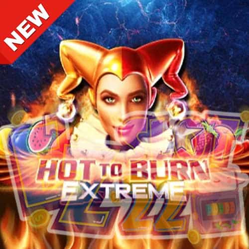 Banner Hot to Burn Extreme ทดลองเล่นสล็อต ค่าย Pragmatic Play เกมใหม่2023