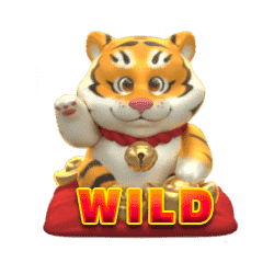 Wild Tiger on Gold ทดลองเล่นสล็อต ค่าย AdvantPlay เกมใหม่มาแรง2023