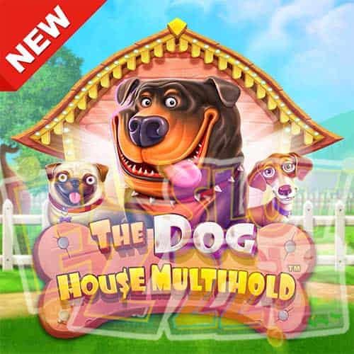 Banner The Dog House Multihold ทดลองเล่นสล็อต ค่ายPragmatic Play เกมใหม่2023
