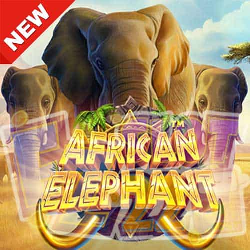 Banner African Elephant ทดลองเล่นสล็อต ค่าย Pragmatic Play เกมใหม่2023