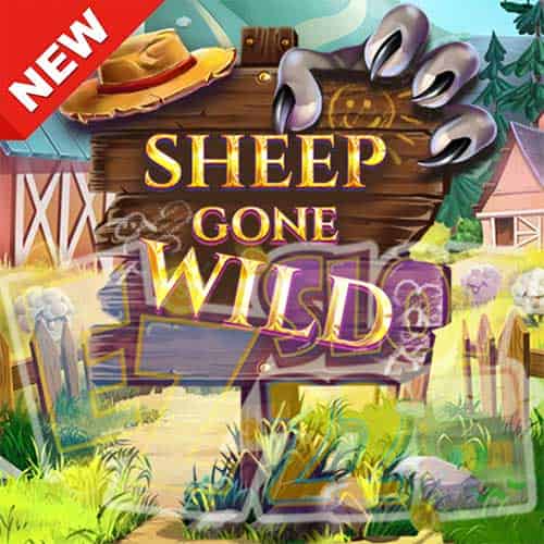 Banner Sheep Gone Wild ทดลองเล่นสล็อต ค่าย Red Tiger เกมใหม่2023 มาแรง