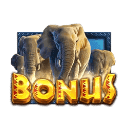 Scatter African Elephant ทดลองเล่นสล็อต ค่าย Pragmatic Play เกมใหม่2023