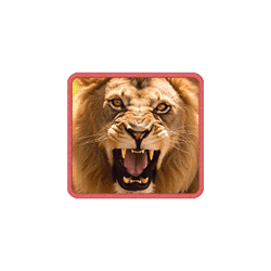 Top Safari Wilds ทดลองเล่นสล็อต ค่าย PG SLOT เกมใหม่ มาแรง2023