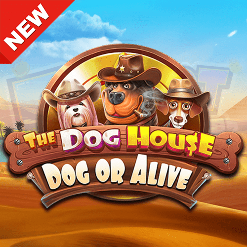 The Dog House Dog or Alive slot